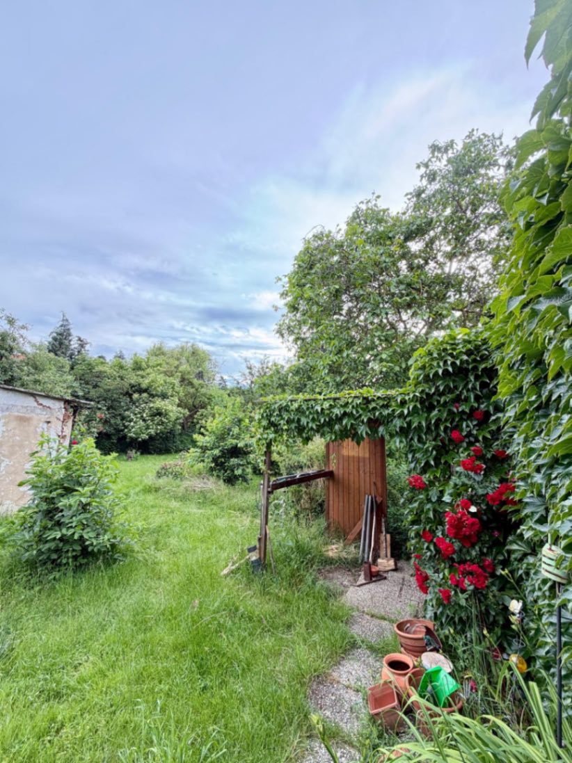 Grasleben: 1-Familienhaus mit 1600m2 märchenhaftem Garten
