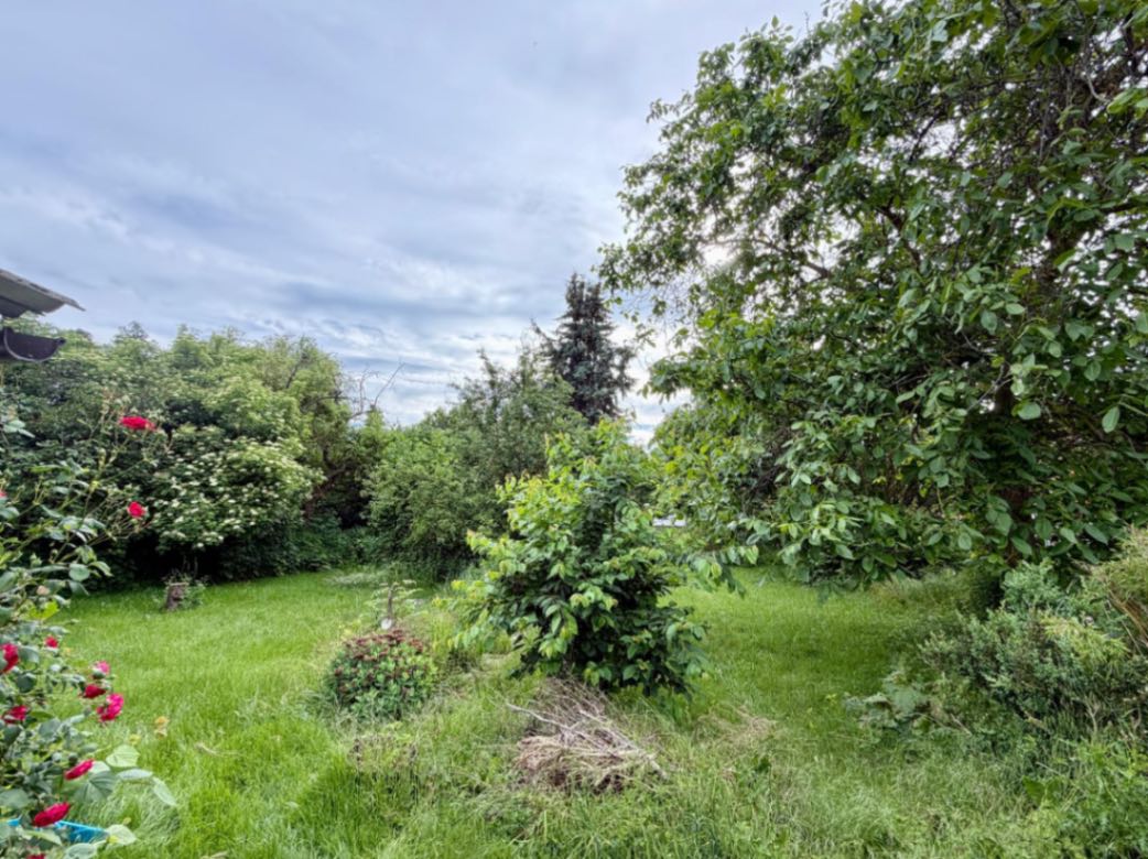 Grasleben: 1-Familienhaus mit 1600m2 märchenhaftem Garten