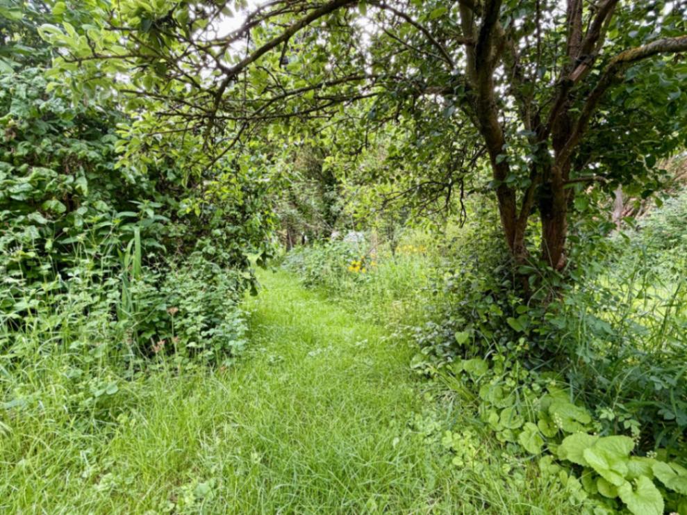 Grasleben: 1-Familienhaus mit 1600m2 märchenhaftem Garten