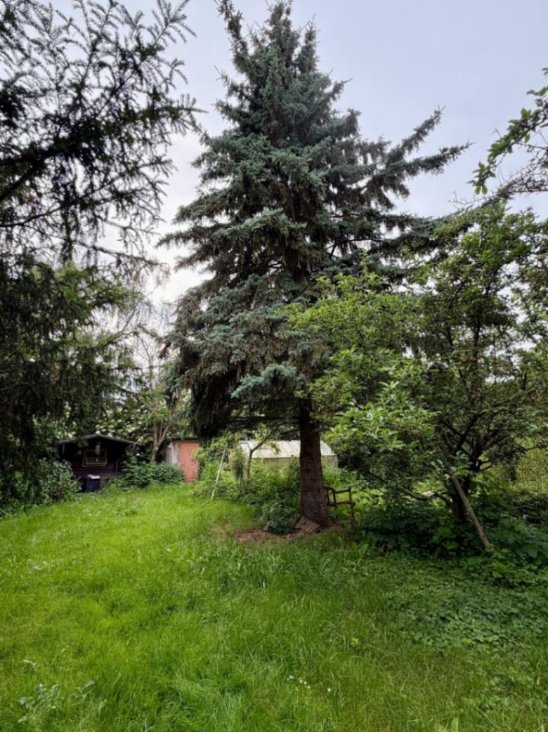 Grasleben: 1-Familienhaus mit 1600m2 märchenhaftem Garten
