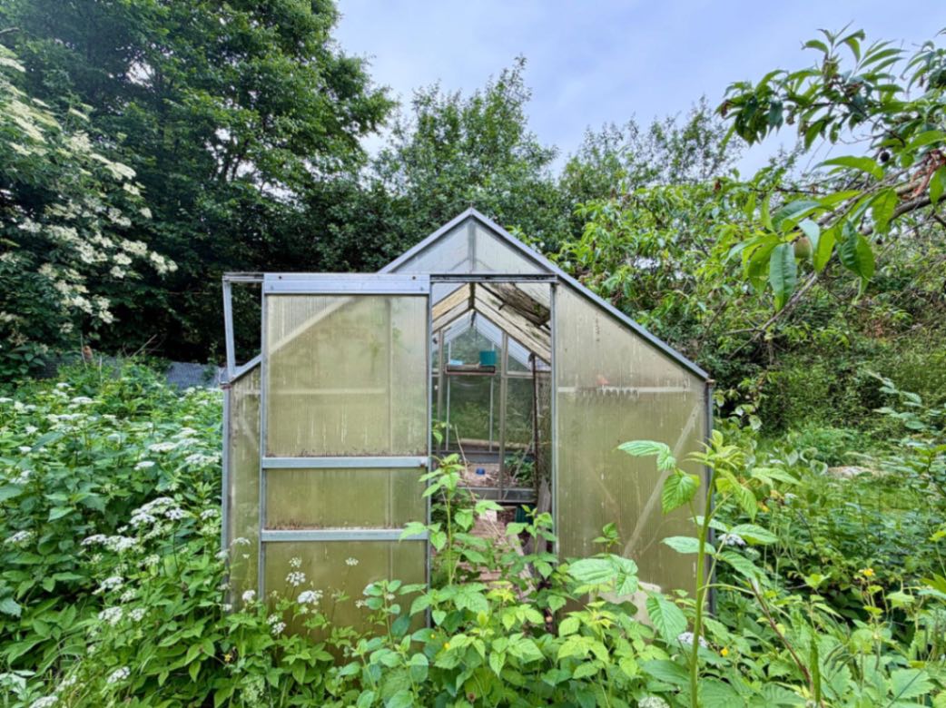 Grasleben: 1-Familienhaus mit 1600m2 märchenhaftem Garten