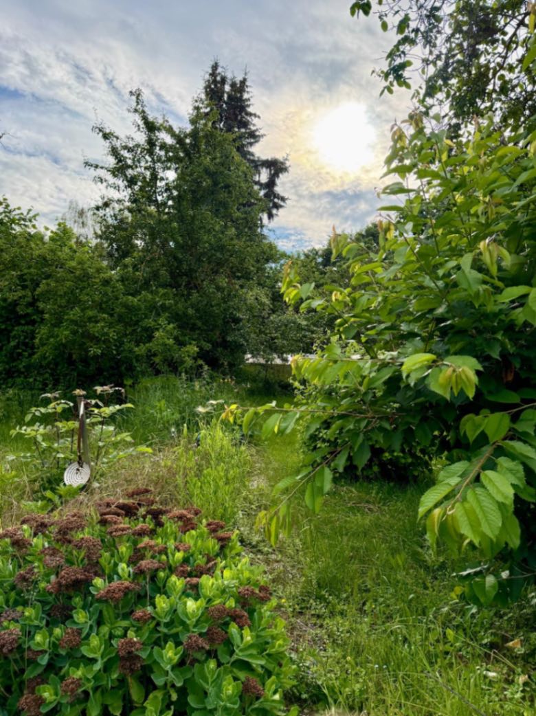 Grasleben: 1-Familienhaus mit 1600m2 märchenhaftem Garten